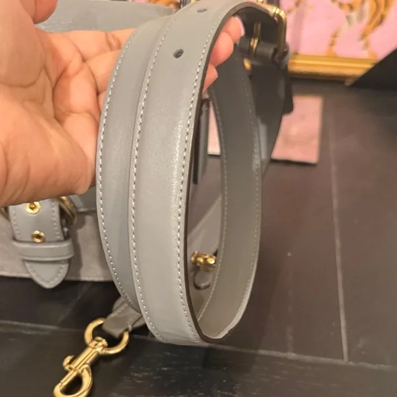 Coach Cleo 17 leather/suede Crossbody Bag